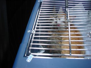 2003-07-13 17:06:36
