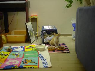 2003-07-13 19:53:10