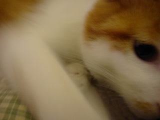 2003-12-30 01:26:08
