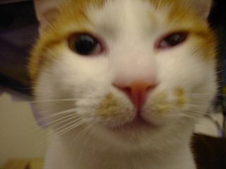 2003-12-30 01:29:26