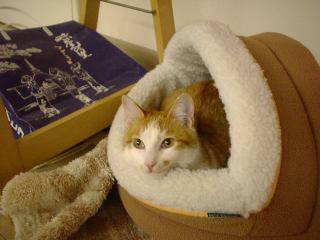 2004-01-16 00:33:32