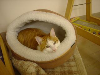 2004-01-16 00:33:56