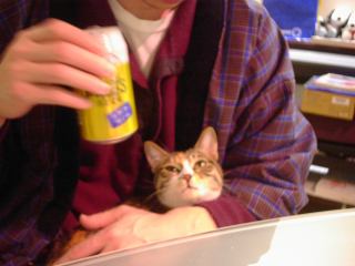 2004-01-17 20:30:44