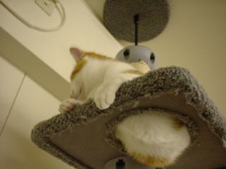 2004-04-26 21:50:42
