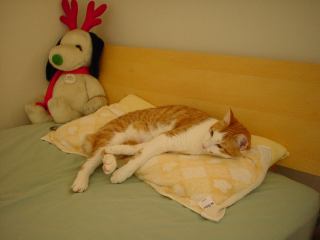 2004-06-26 13:04:12