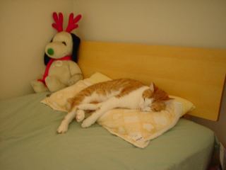 2004-06-26 13:04:30