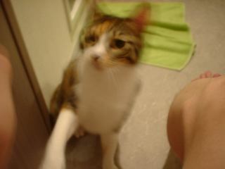 2004-07-27 23:16:42