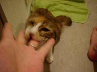 2004-07-27 23:17:48