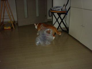 2004-10-10 14:56:12