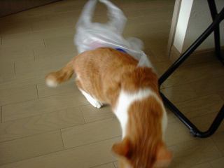 2004-10-10 14:56:44