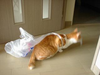 2004-10-10 14:56:58