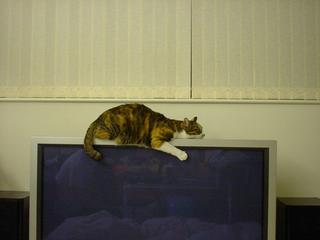 2005-05-04 20:08:01