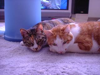 2005-05-15 11:45:53