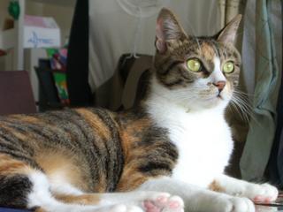 2005-08-21 11:58:36