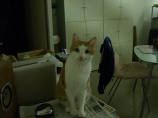2005-09-28 22:23:01
