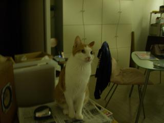 2005-09-28 22:23:26