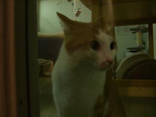 2005-12-09 22:42:14