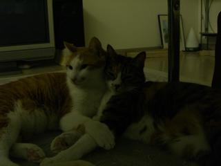 2006-03-17 21:35:12