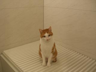 2006-04-02 23:46:54