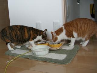 2006-10-24 08:19:55
