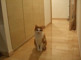 2006-11-18 21:24:33