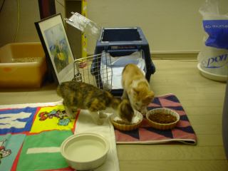 2003-07-13 23:42:34