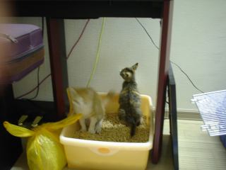 2003-07-14 22:41:02