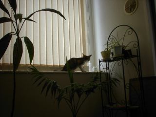 2003-07-19 10:27:10