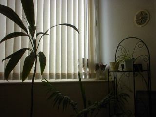 2003-07-19 11:20:42