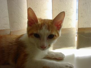 2003-07-27 15:57:56