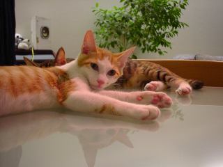 2003-08-08 23:44:12
