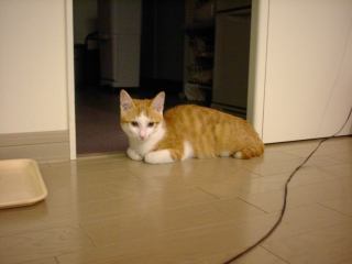 2003-08-16 01:15:22