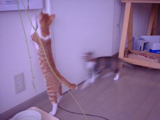2003-08-19 07:50:38