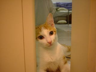 2003-09-06 01:51:34
