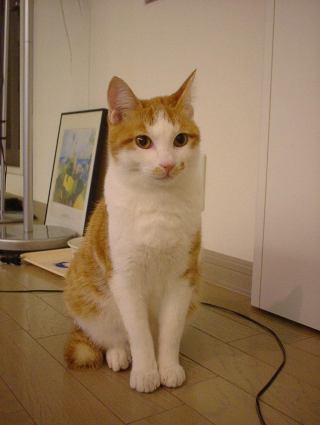 2005-05-01 14:36:11