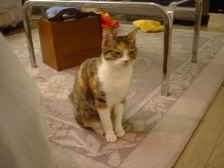 2003-11-30 00:01:34