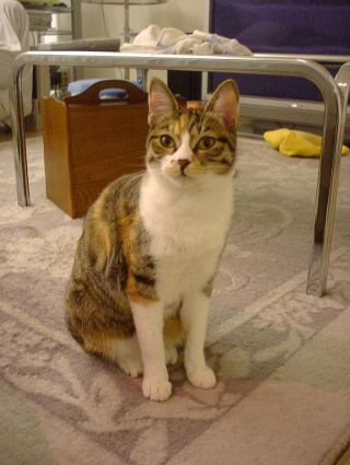 2005-05-01 14:27:27