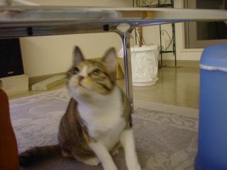 2003-12-03 22:19:50